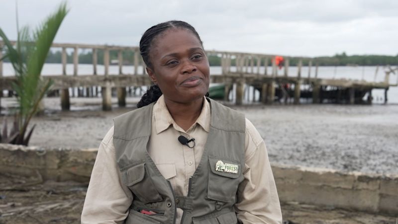 How this conservationist fought to bring an elusive monkey back from the brink of extinction