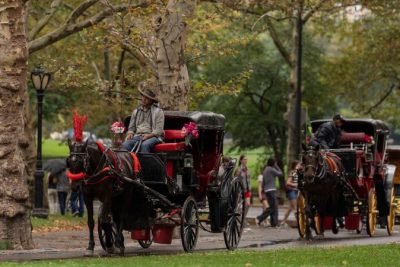 Facing a ban on horse-drawn carriages, Central Park’s drivers fear for their future