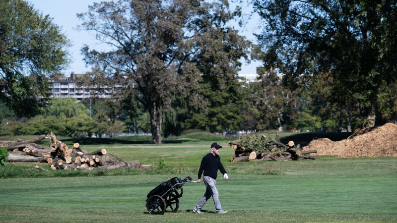 Judge puts new limits on Trump’s golf course renovation, blocks removal of more trees