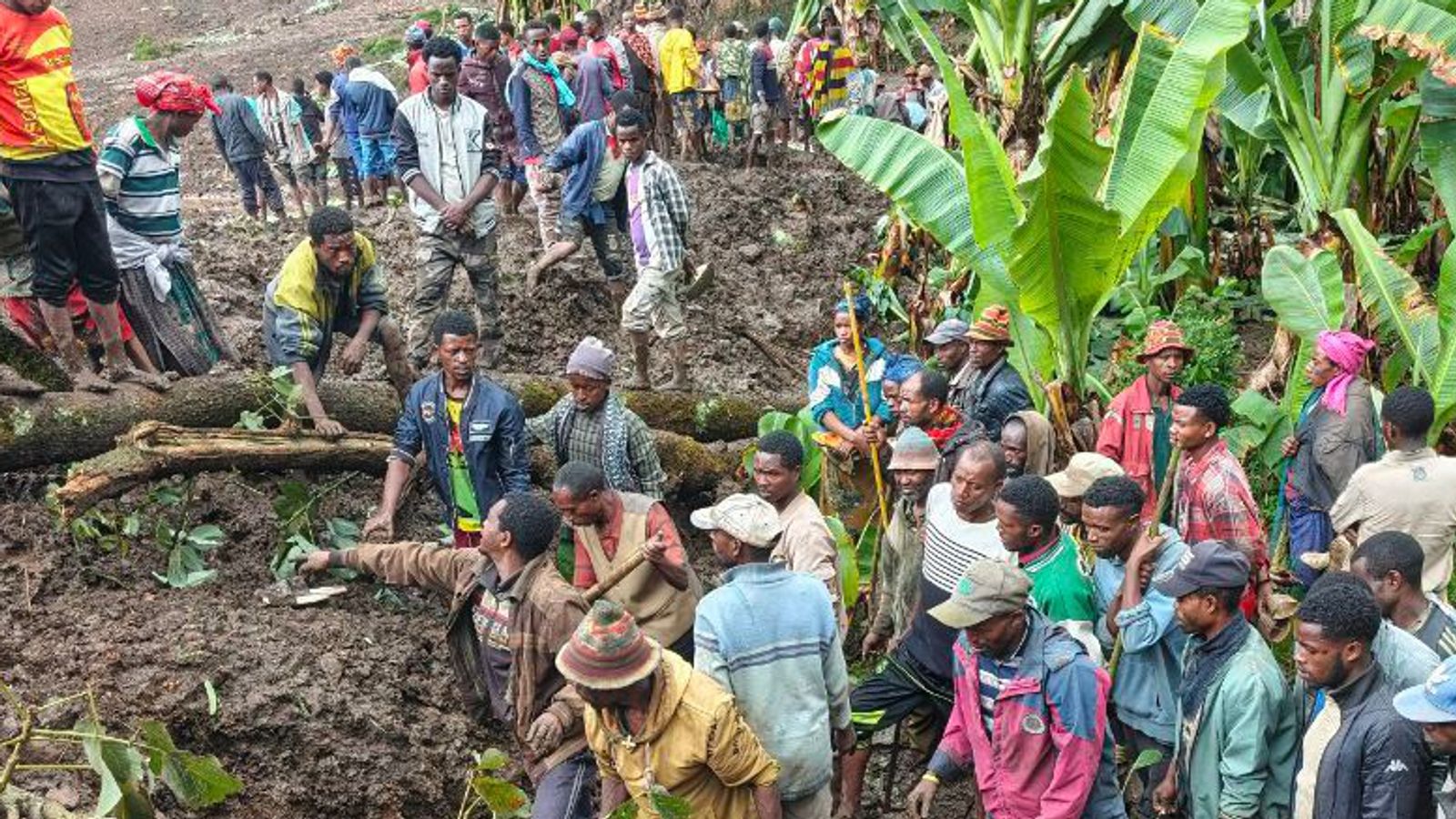 At least 80 killed and many more missing after deadly landslides in Ethiopia