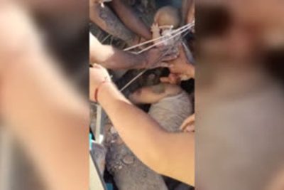 After a whisper saved baby and father from rubble, the search is on for mother in collapsed building in Colombia