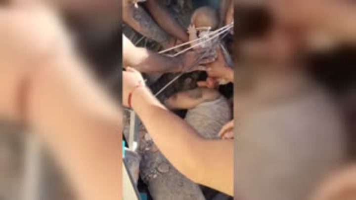 After a whisper saved baby and father from rubble, the search is on for mother in collapsed building in Colombia