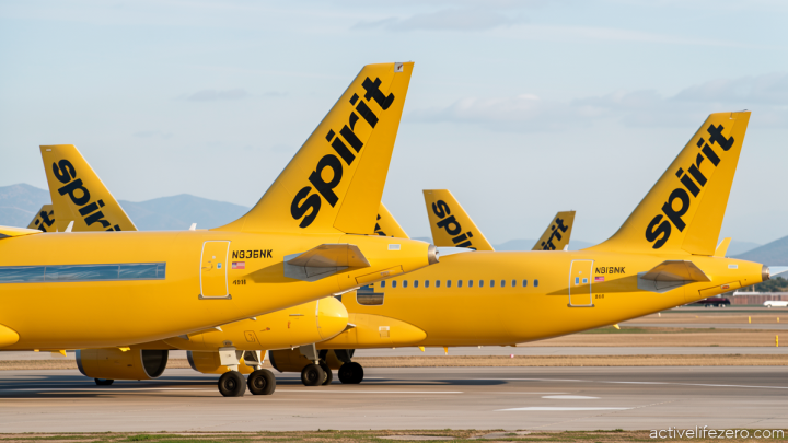 Google is buying all of Spirit Airlines’ data to feed its AI models