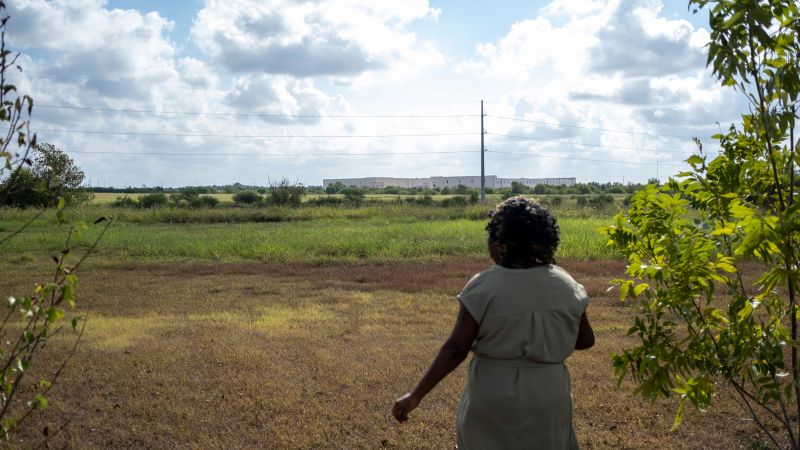 A Texas woman is fighting to preserve land that was supposed to become a public park. Now it may be a data center instead